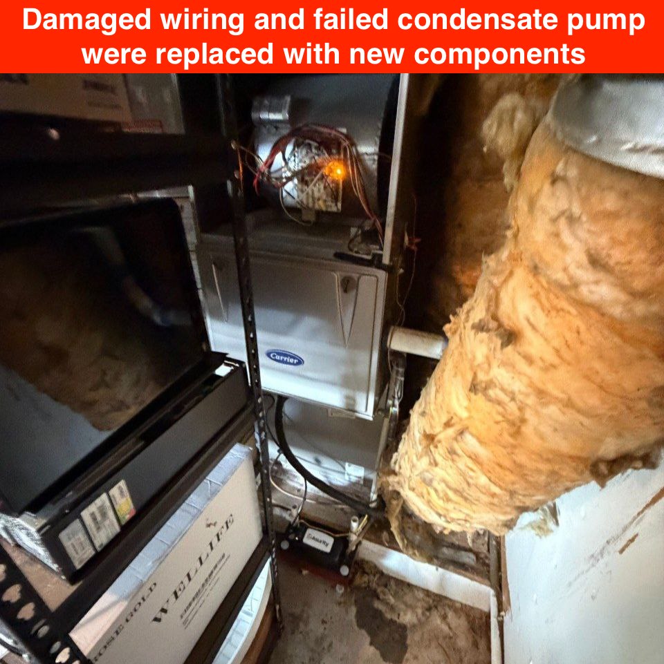 Air conditioning repair in Los Gatos – wiring and condensate pump replacement